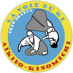 logo 2025 la voie du ki