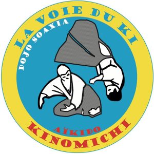 logo la voie du ki